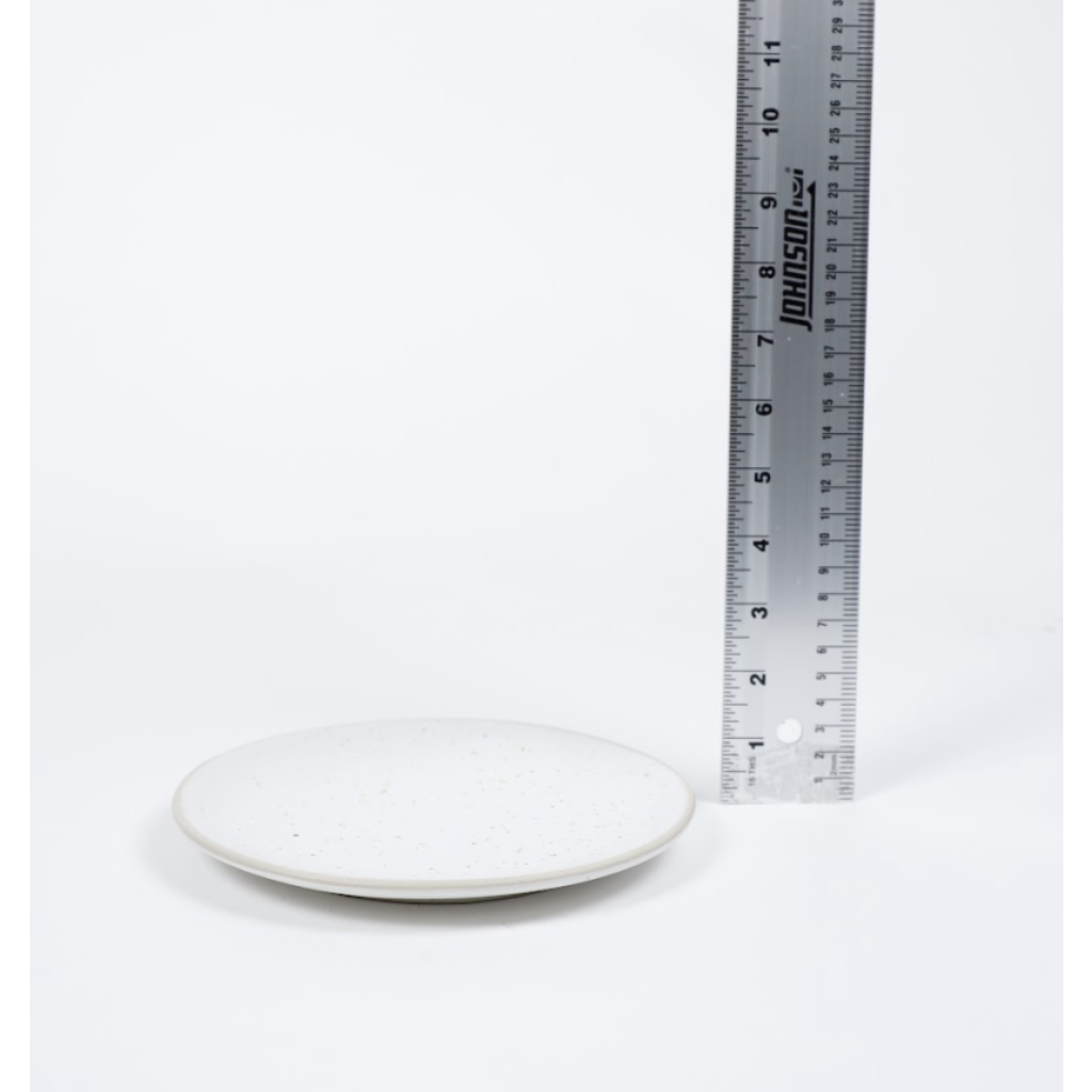 Off White Speckel Plate (6)